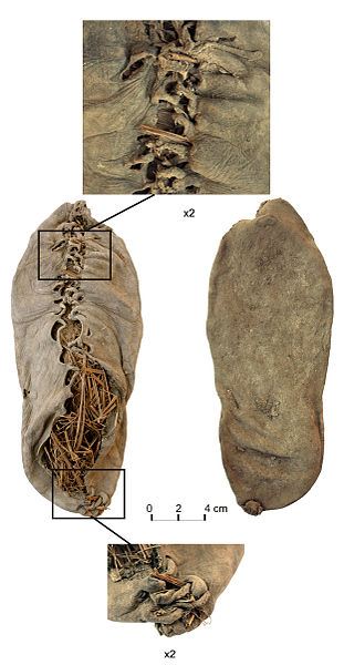 the oldest know leather shoe about 5500 years old found in armenia